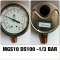 Compound Gauge Nuova Fima